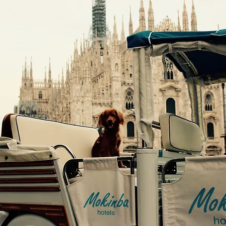 Mokinba Baviera Hotel